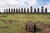 This is a dark brown full grain leather briefcase on Easter Island.