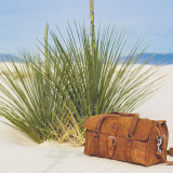 This is a tan brown leather duffle bag in white sand next to a yucca.