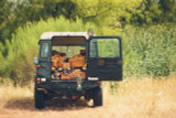 This is a tan brown leather duffle bag in the back of a green land rover defender.