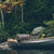This is a dark brown leather duffle bag with three straps on the front right by a green canoe on the lake.