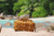 tan brown leather duffle bag using the three straps and the detachable handle to carry the overnight travel gear. Anse Lazio in the Seychelles is in the background.