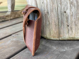 This is a red brown leather wallet bag with passports and yellow cards in it standing up sideways.
