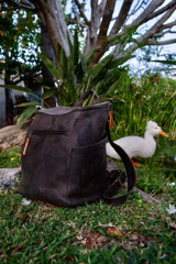 All in One Leather Backpack-Now with Detachable Straps