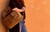 Backpack  Leather Tote