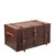 Leather Trunk