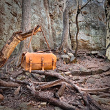 27" Adolescent Beast Duffle Bag